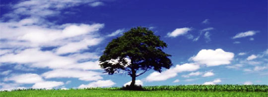 �G�A�Q�P�Ԍ�