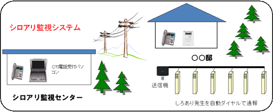 �V���A�����m